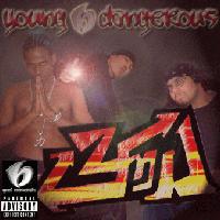 Picture for song 'Love Don't Cost A Thing (remix)' by artist 'Young and Dangerous'