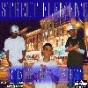Picture for song 'THE KIDD STILL HUSTLIN- FEAT. STREET ELEMENT' by artist 'YOUNG BEE'