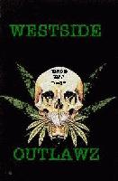 Picture for song 'cali bomb' by artist 'Young World Entertainment'