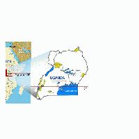 Picture for song 'str8 from ug' by artist 'younskool'