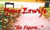 Picture for song 'Seventeen' by artist 'Your Exwife'