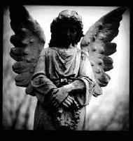 Picture for song 'and the sun will run from us all' by artist 'Your Inevitable Murder'