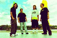 Picture for song 'Living It Up' by artist 'Ystervark'