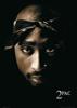 Picture for song 'Throw Ya Hands Up Freestyle' by artist 'Yung Holla 2003'