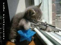 Picture for song 'Fantasies in my head' by artist 'Yung Smoov 305'