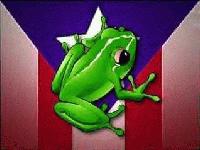 Picture for song 'rocc da mic freestyle' by artist 'Yung Smoov 305'