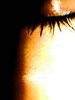 Picture for song 'Khwaab' by artist 'ZaMaN'