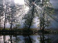 Picture for song 'DUSK' by artist 'Zanna Daone'