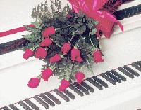 Picture for song 'STRENGTH IN NUMBERS' by artist 'Zanna Daone'