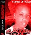 Picture for song 'Mama Africa' by artist 'ZAYB'