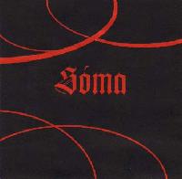 Picture for song 'Padaji kone' by artist 'Zdenek Valecko'