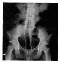 Picture for song 'Fatal Flaw--Ms2k Org.' by artist 'zeroslugFM'