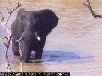 Picture for song 'TUSS idea (not for real, the real one is comin--Jk' by artist 'zeroslugFM'