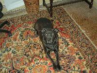 Picture for song 'My Life' by artist 'Zeus-Man Productions'