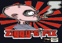 Picture for song 'texas arms dealer (bush no dumb)' by artist 'ziggys fixx'