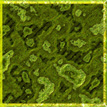 Picture for song 'Esta Sede (This Thirst)' by artist 'Zona Franca'