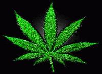 Picture for song 'On a Mission (Draft)' by artist 'Zulufro'