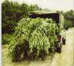 Picture for song '35 _ Zwa & MacLo _ Dirty Game (50-Backdown Remix)' by artist 'Zwa'