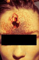 Picture for song '38_Zwa_Otis_MacLo_T-PiMpiN _ splat' by artist 'Zwa'