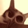 Picture for song 'Danowf Niloof (talkin'doumbek & samples)' by artist 'Zygote Productions'