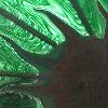 Picture for song 'Mayakina' by artist 'Zygote Productions'