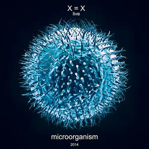 Picture for song '1Carousel' by artist 'X Equals X'