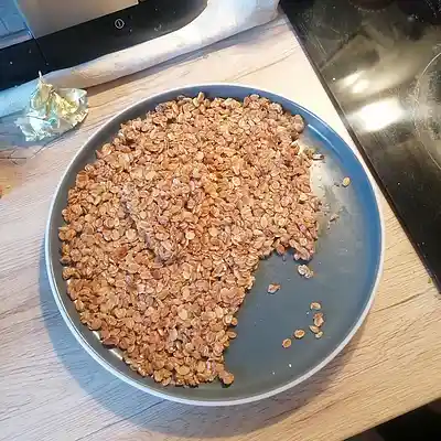 Picture for song '20241124_161834_SingFS_' by artist '786 scheint-Al'lahs Bande'