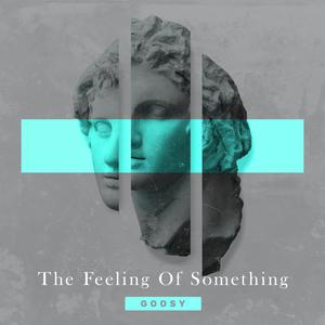 Picture for song '20 Far Away By Goosy' by artist 'goosy'