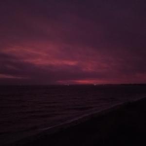 Picture for song '20231218_142430_Qasidas786_scheint' by artist '786 scheint-Al'lahs Bande'