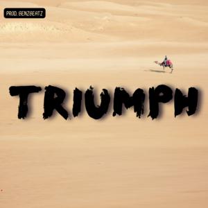 Song picture