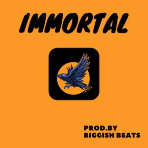 Picture for song 'Immortal ( Trap / Epic / Cinematic ) - 169 bpm' by artist 'Biggish Beats'
