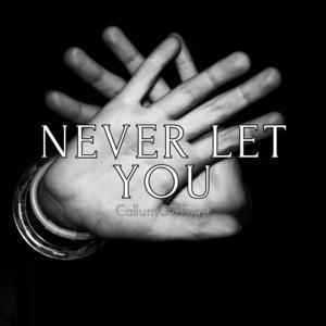 Picture for song 'Never Let You' by artist 'CallumOnToast'