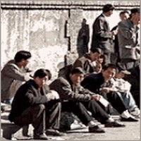 Picture for song 'No Job!' by artist 'Cam7Song'