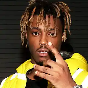 Picture for song 'Goblins (Juice Wrld Emo Rap Type Beat!)' by artist 'DJ Shaw-t'