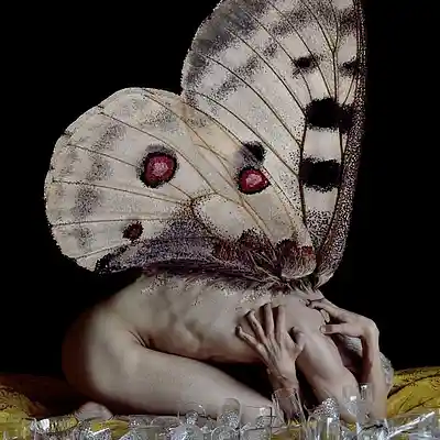 Picture for song 'rebirth' by artist 'drama collection'