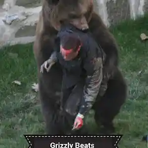 Picture for song '1 Piano 2 Beats' by artist 'Grizzly Beats11'