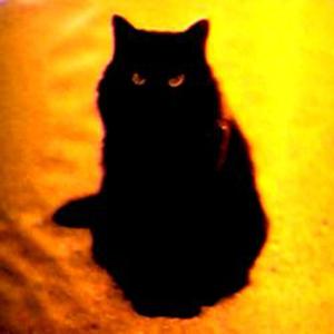 Picture for song 'The Black Cat (instr)' by artist 'Horrid Sam'