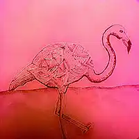 Picture for song 'Flamingo' by artist 'Icefields'