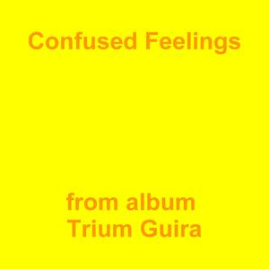 Picture for song 'Confused Feelings' by artist 'Jean-Marc Lozach'