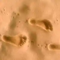 Picture for song 'Small Steps' by artist 'Les Cotton Music'