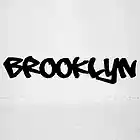 Picture for song 'Brooklyn' by artist 'Mr Levy'