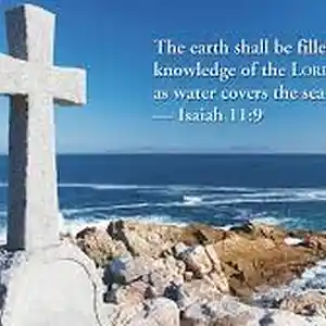 Picture for song 'Shall Be Filled' by artist 'My Shepherd King'