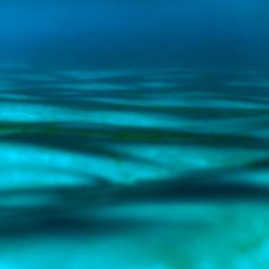 Picture for song 'Harmonized' by artist 'Nech Beats'