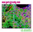 Picture for song 'Purple Mombin' by artist 'New York Gravity Club'