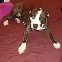 Picture for song 'Things Done Changed Remix' by artist 'Nightbreaker'