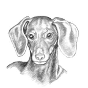 Picture for song 'The Poem' by artist 'One Wiener and Whine'