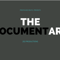 Picture for song 'The Documentary' by artist 'Profound Productions 202'
