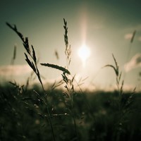 Picture for song '*REGGAETON* - Euphoria l Free DL' by artist 'Pryme The Producer'