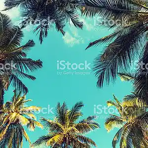 Picture for song 'Cool It (TROPICAL POP/DANCEHALL) (BUY 1 GET 2 FREE' by artist 'RB Keys'