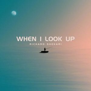 Picture for song 'When I Look Up' by artist 'Richard Shekari'